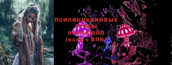 apvp Бежецк