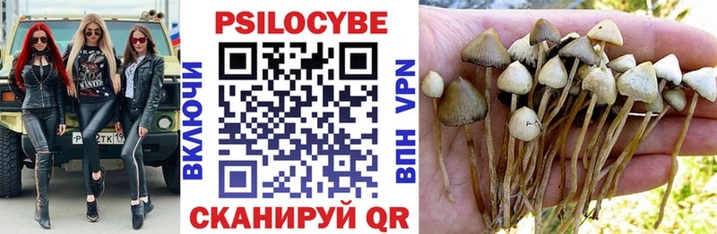 hydra сайт  как найти закладки  Жиздра  Галлюциногенные грибы Psilocybe 